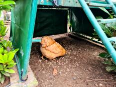 Very convenient and strong quality