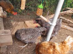 Brilliant Boredom Buster