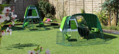 Green Eglu Go up and purple Eglu Go chicken coops in a garden.