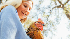 whole home woman holding chicken