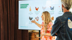 whole home chicken presentation