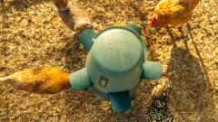 Top down view of the Omlet chicken feeder with hens feeding from the ports