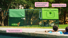 Eglu Cube merkmale und vorteile eines hühnerstalls