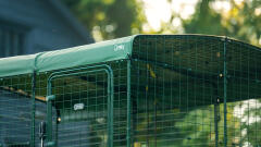 Detail einer wetterschutzabdeckung an einem begehbaren auslaufgehege