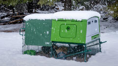 eglu cube insulated chicken coop in the snow