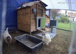 Porte automatique parfaite 