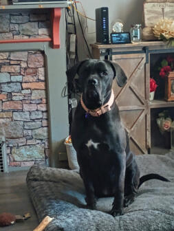 Hello mom. how do i look today?