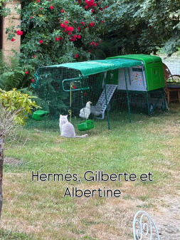 Bienvenue à Gilberte et Albertine !