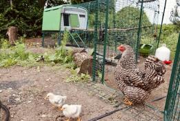 More space and protection for our tomb