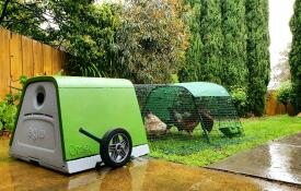 Ett så fint litet hönshus.