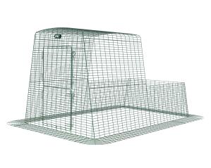 Eglu Cube- 2m Run