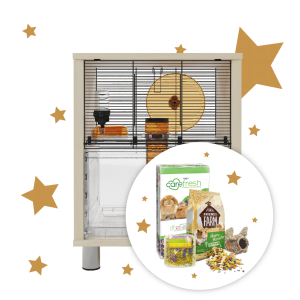 Birch Style Qute Hamster and Gerbil Starter Pack
