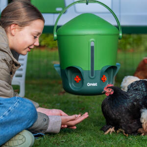 Omlet Insulated Stay Clean Chicken Waterer 3 Gallon - Sage Green