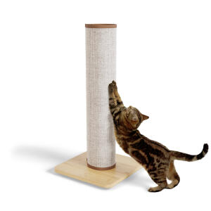 Griffoir pour chat Switch – Poteau – Couleur crème