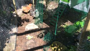 Omlet Eglu Cube groot kippenhok en ren