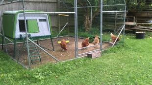 Easy To Clean & Build