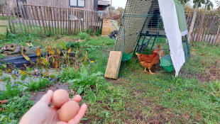 Automatisk karruseldør