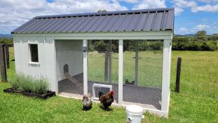 Une porte automatique grise fixée sur un poulailler en grillage et bois