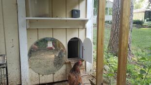 Alimentation en courant alternatif + contrôleur séparé = combinaison parfaite !