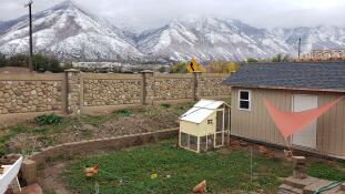 Grande porte ! installation facile !