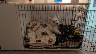 Fantastische hondenkrat