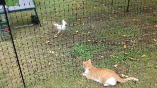 Mycket bekvämt att installera