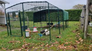 Sturdy and safe run for chickens