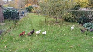 Bra tillfälliga stängsel