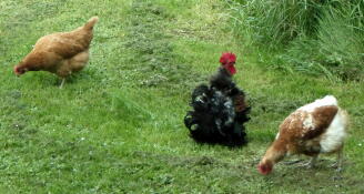 Good product / excellent backup response