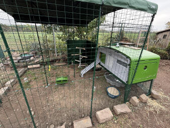 Eglu pro & walk-in enclosure incl. equipment 