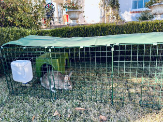 Charlotte und caroline's neues zuhause!