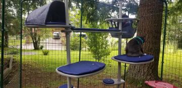 Sturdy and easy to assemble