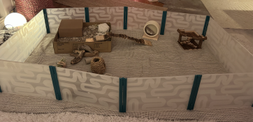 Large park for rodents