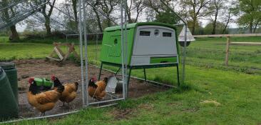 Easy peasy tippi toppi