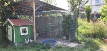 Stable aviary 
