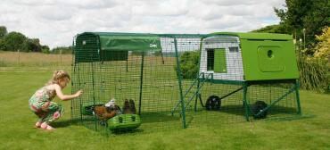 Chickens make great pets for the whole family!