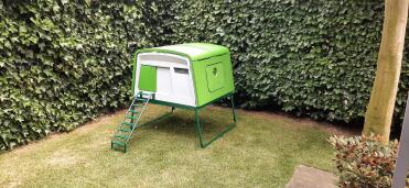 A coop very easy to maintain