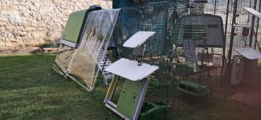 My new poulailler 2026