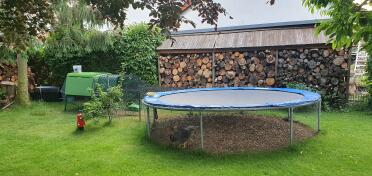 Chickens roaming underneath a trampolin.