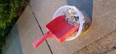 Nice scoop!