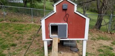 Omlet Grey Automatic Chicken Door Attached to Wooden Chicken Coop