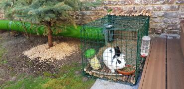 Bunnies love to have extra room to roam!