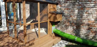 Zippi tunnels are great for giving your bunnies extra room!