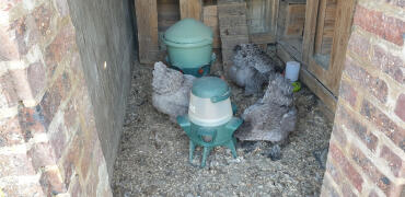 Anti-waste feeder