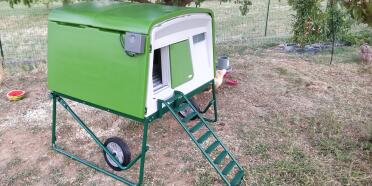 The control panel for the automatic door can be installed on the outside of the chicken coop.