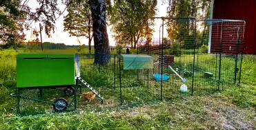 The coop runs are flexible and can be attached to our walk-in runs