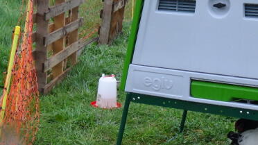 Omlet Eglu Cube Large Chicken Coop and plastic feeder