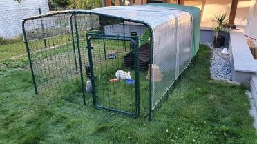 The rabbits love spending time in their rabbit run.
