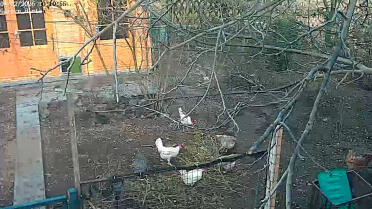 Intelligete Autodoor