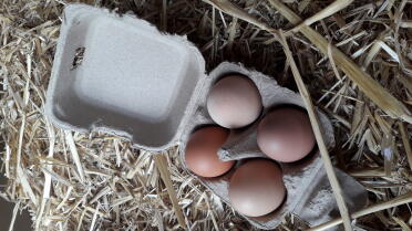 It's wonderful to share your eggs with your friends.